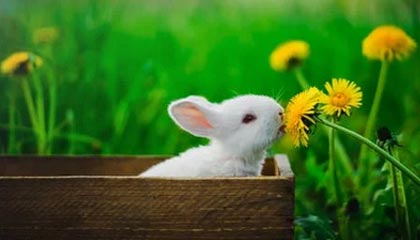 开云-爱游戏，KaiyunSports-开云体育：打破界限的体育与游戏生态